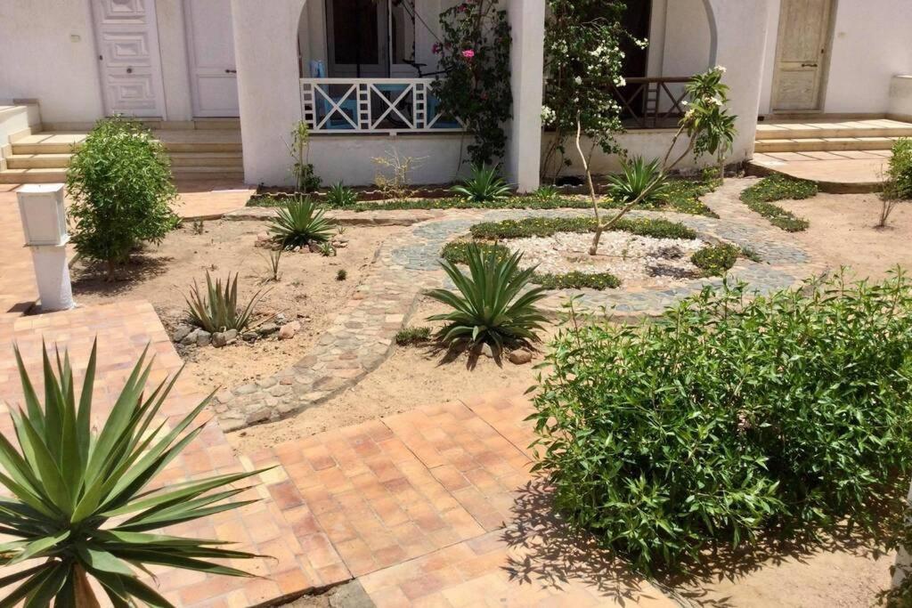 Apartamento Beyt Alzohour - Casa Dei Fiori Dahab Exterior foto